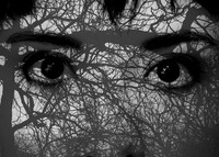 Arteries